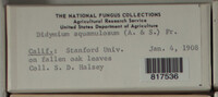 Image Associated With the Occurence